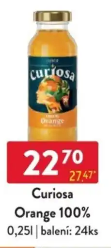 Qanto Curiosa Orange 100% nabídka