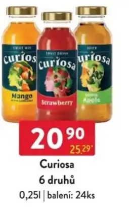 Qanto Curiosa 6 druhů nabídka
