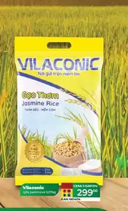 Tamda Foods VILACONIC Jasmine Rice nabídka