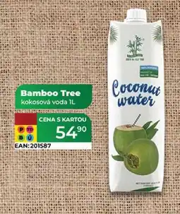 Tamda Foods Bamboo Tree kokosová voda IL nabídka