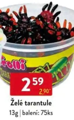 Qanto Želé tarantule nabídka