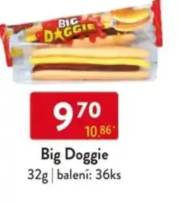 Qanto Big Doggie nabídka