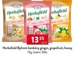 Qanto Herbafield Bylinné bonbóny ginger, grapefruit, honey nabídka