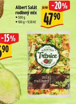 Albert Salát rodinný mix nabídka