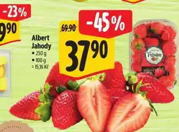 Albert Jahody nabídka