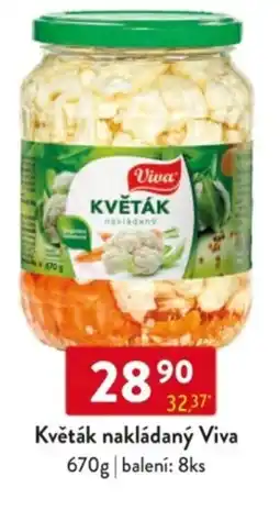 Qanto Květák nakládaný Viva nabídka