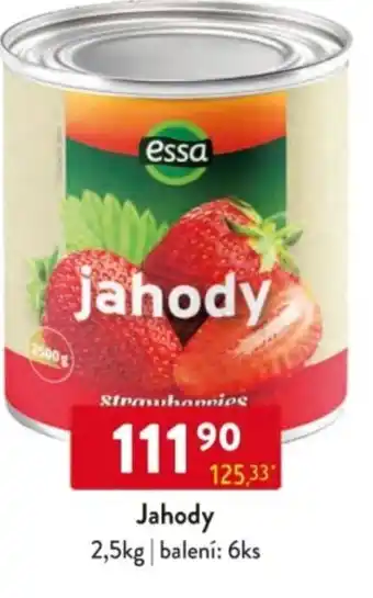 Qanto Essa Jahody nabídka