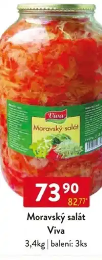 Qanto Moravský salát Viva nabídka