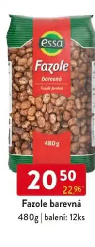 Qanto Essa Fazole barevná nabídka