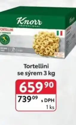 Qanto Knorr Tortellini se sýrem nabídka