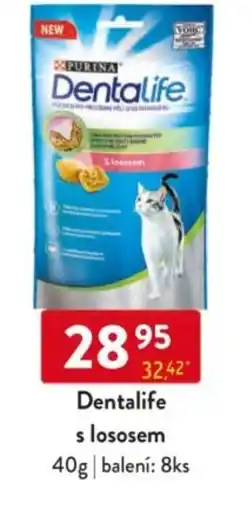 Qanto Dentalife s lososem nabídka