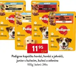 Qanto Pedigree kapsička hovězí, hovězí a jehněčí, junior s kuřecím, kuřecí a zelenina nabídka