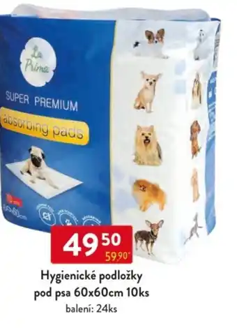 Qanto Hygienické podložky pod psa 60x60cm nabídka