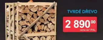 Qanto Tvrdé dřevo nabídka