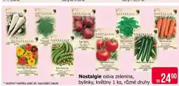 Teta Nostalgie osiva zelenina, bylinky, květiny 1 ks, různé druhy nabídka