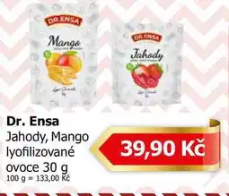 Teta Dr. Ensa Jahody, Mango lyofilizované ovoce nabídka