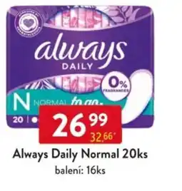 Qanto Always Daily Normal nabídka