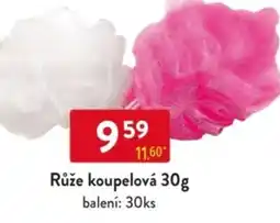 Qanto Růže koupelová nabídka