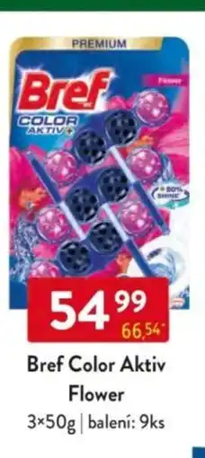 Qanto Bref Color Aktiv Flower nabídka