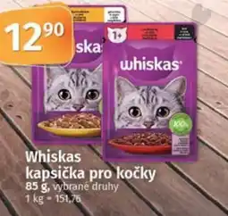 COOP TIP Whiskas kapsička pro kočky nabídka