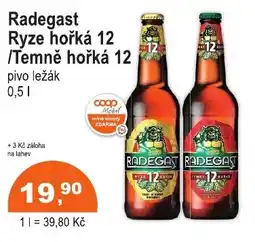 COOP DISKONT Radegast Ryze hořká 12 /Temně hořká 12 nabídka