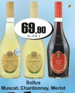 Adam Sollus Muscat, Chardonnay, Merlot nabídka