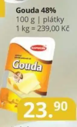 Potraviny CZ Gouda 48% nabídka