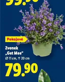 Lidl Zvonek get mee nabídka