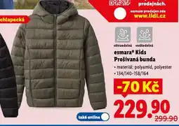 Lidl Chlapecká prošívaná bunda nabídka