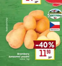 Billa Brambory konzumní pozdní volné nabídka