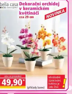 Norma Dekorační orchidej v keramickém květináči nabídka