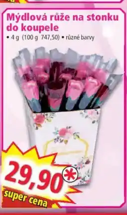Norma Mýdlová růže na stonku do koupele nabídka