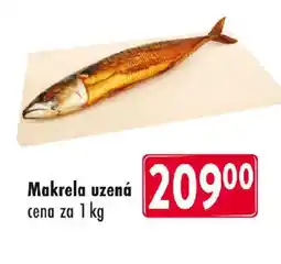 Astur&Qanto Makrela uzená nabídka