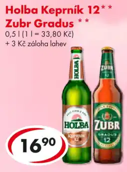 CBA Holba Keprník 12* Zubr Gradus nabídka