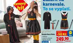 Lidl Kostým harry potter nabídka