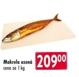 Qanto Makrela uzená nabídka