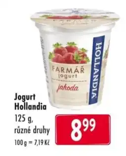 Qanto Jogurt Hollandia nabídka
