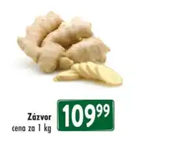 Qanto Zázvor nabídka