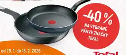 Globus Na vybrané pánve značky Tefal nabídka