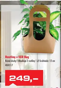 Uni Hobby Rostliny v ECO Bag nabídka