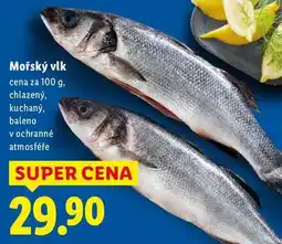 Lidl Mořský vlk, cena za nabídka