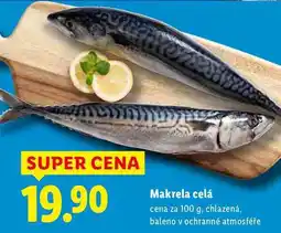 Lidl Makrela celá, cena za nabídka