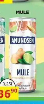 BENE Nápoje AMUNDSEN MULE míchaný nápoj 0,25l, plech nabídka