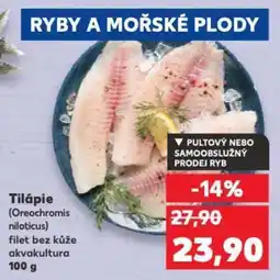 Kaufland Tilápie nabídka
