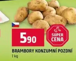 Terno BRAMBORY KONZUMNÍ POZDNÍ nabídka
