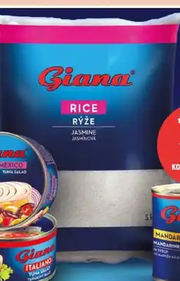 Globus Giana Rýže Jasmínová nabídka