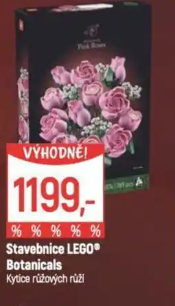 Globus Stavebnice LEGO® Botanicals Kytice růžových růží nabídka