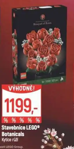 Globus Stavebnice LEGO® Botanicals Kytice růží nabídka