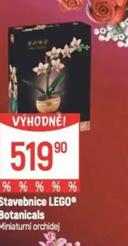 Globus Stavebnice LEGO® Botanicals Miniaturní orchidej nabídka
