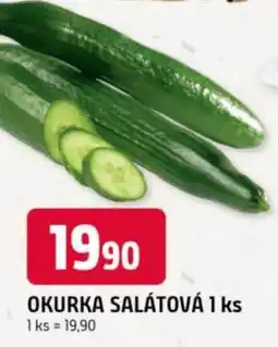 Trefa Okurka salátová nabídka